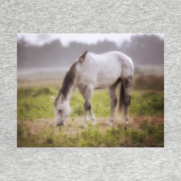 Horse in the Fog by JeffreySchwartz